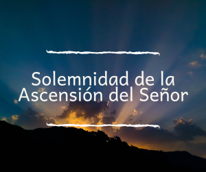 BECAS COMEDOR y material curricular (2)