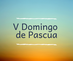 BECAS COMEDOR y material curricular (3)
