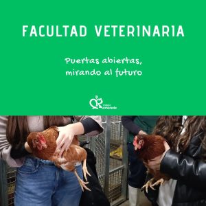 Cabecera veterinaria