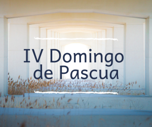 IV Domingo de Pascua