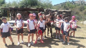 PRI - Carrascon1