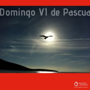 Plantilla (1)