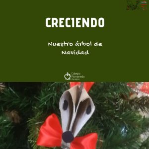 Plantilla post (1)