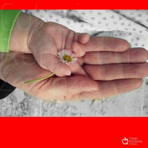 Plantilla post (1)