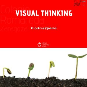 Plantilla post (1)