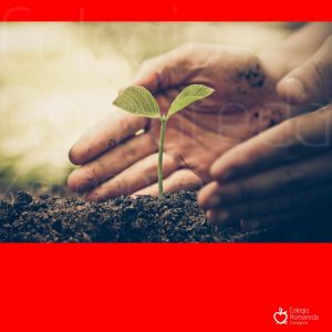 Plantilla post (7)