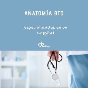 cabecera anatomía 1ºbto