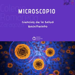 cabecera microscopio